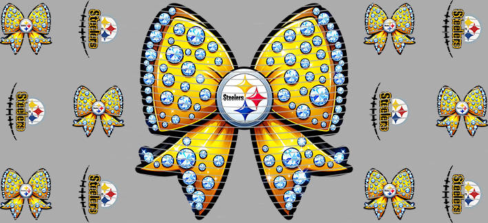 16oz team-NFL 3292